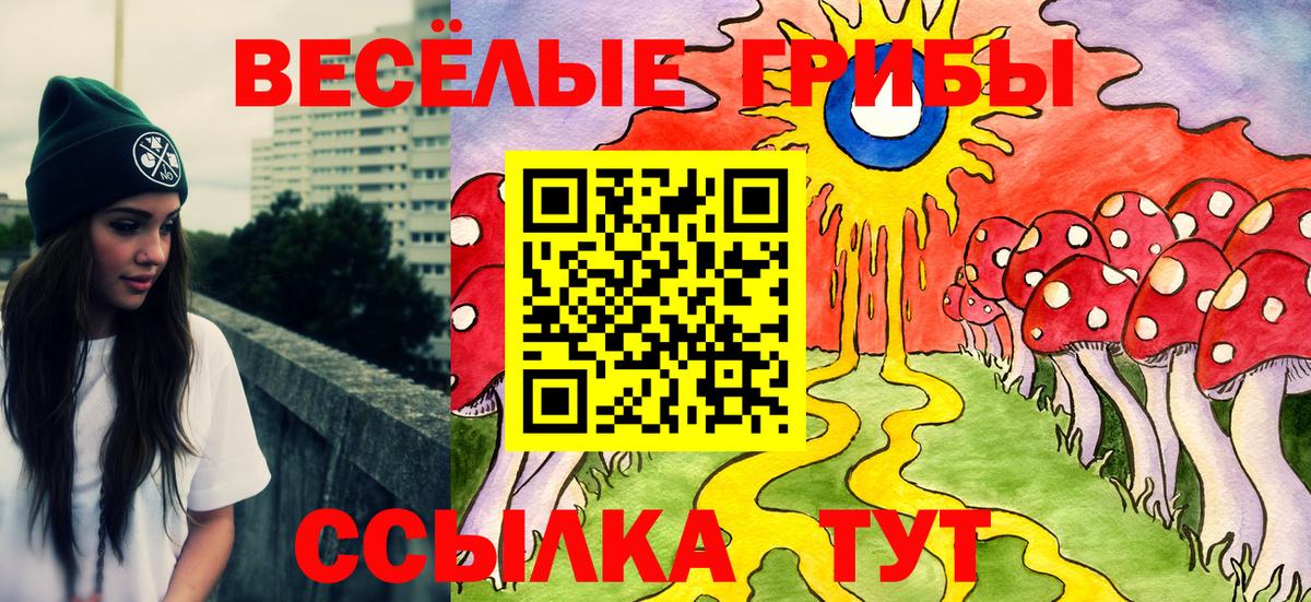 Галлюциногенные грибы Psilocybe Великий Новгород