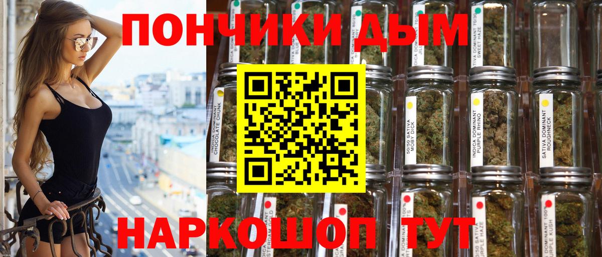 Бошки Шишки MAZAR Великий Новгород